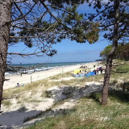 33 - Halbinsel Darss - Ostsee Wieck