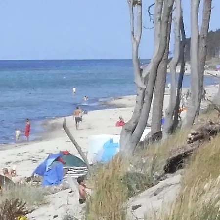 33 - Halbinsel Darss - Ostsee アパート *