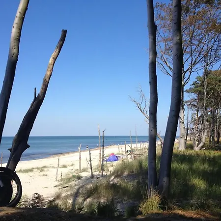 33 - Halbinsel Darss - Ostsee ヴィーク