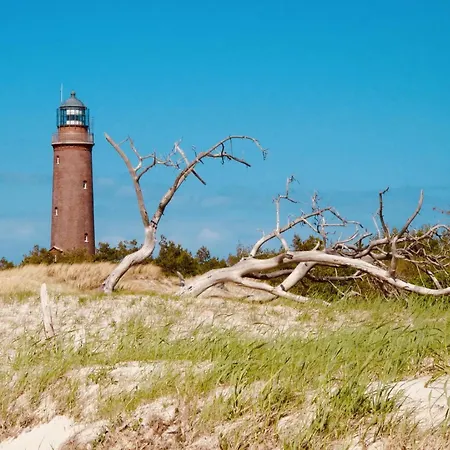 33 - Halbinsel Darss - Ostsee ヴィーク