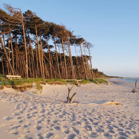 Апартаменты 33 - Halbinsel Darss - Ostsee