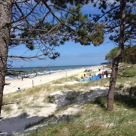 33 - Halbinsel Darss - Ostsee Апартаменты Вик